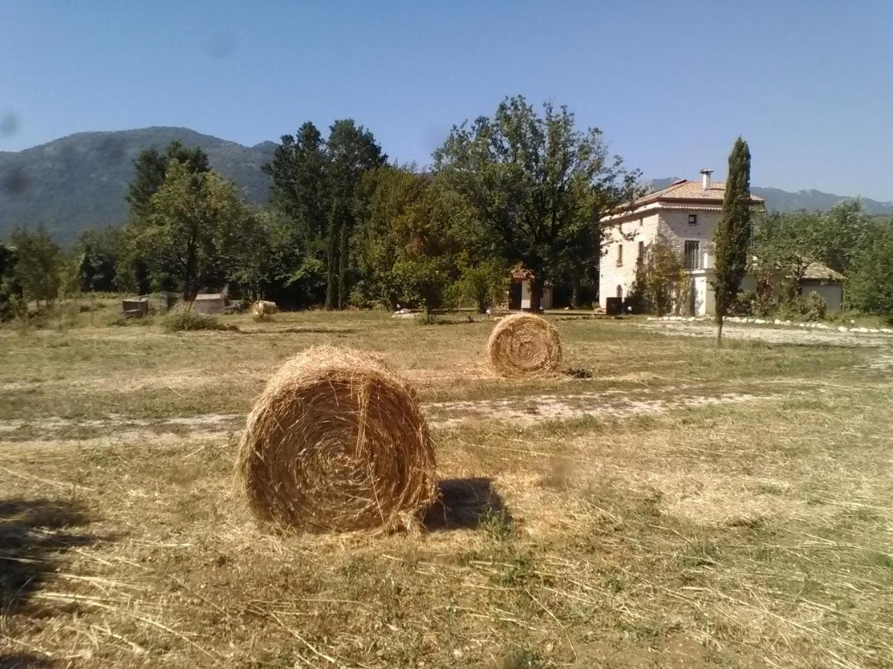 Casina Di Pietra Villa San Giorgio a Liri Exterior photo